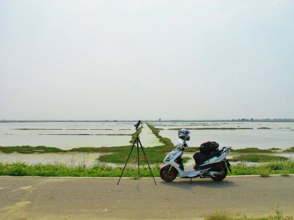 Scooter-based birding at Budai salt pans.