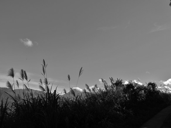 Scenery at Dahanshan.