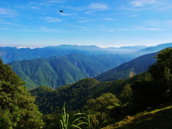 8.00am view from the trail to Tengjhih National Forest HQ.