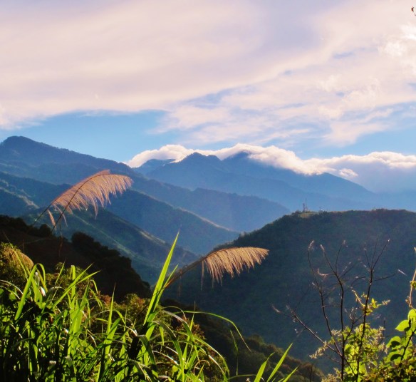 Early morning mountain view near Chun Yang Farm, Wushe. Still no Brownish-flanked Bush-warbler or Vinous-throated Parrotbill ....