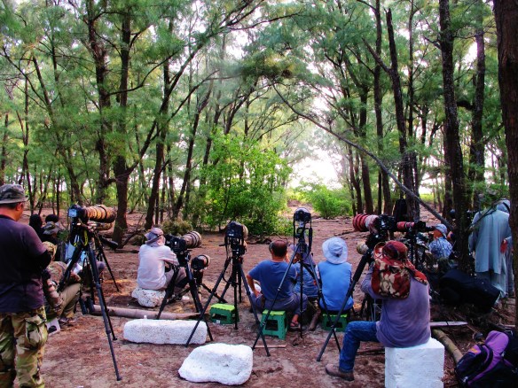 Waiting for the Siberian Thrush at Qigu, September 30th.